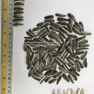 Inner Mongolia Sunflower Seeds With Factory Price thumbnail-1