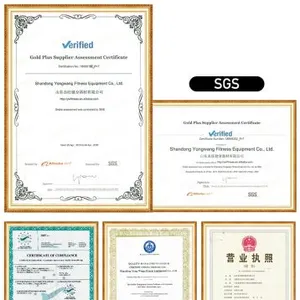Shandong Yongwang Fitness Equipment Co., Ltd. company overview - view 4 thumbnail