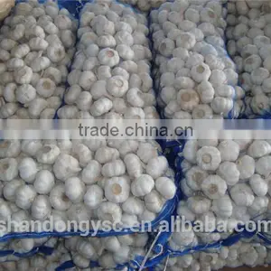 Factory Price Chinese Natural Red Garlic(normal White Garlic, Purple Garlic, White Garlic) thumbnail-4