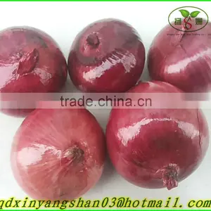 (CHINA RED ONION OFFER ) Red Onion /Fresh Onion thumbnail-2