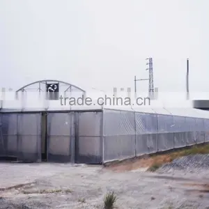 Agriculture Muti-span Greenhouse thumbnail-1