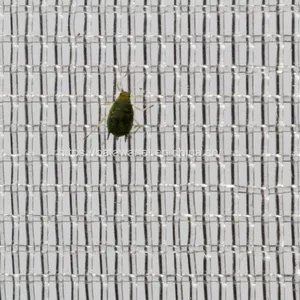 Hdpe Agricultural Plastic Mesh Fruit and Vegetable Insect Net Vegetable Farm Insect thumbnail-5