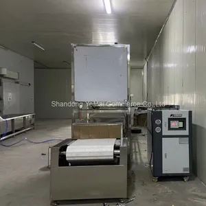 Industrial Microwave Thawing Machine For Frozen Chicken Block thumbnail-4