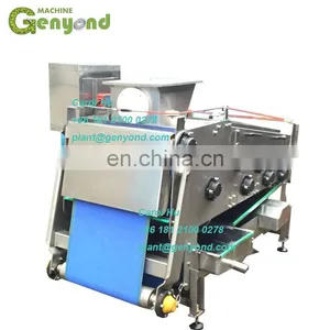 Energy Saving Apple Juice Belt Press / Juicer Machine thumbnail-1