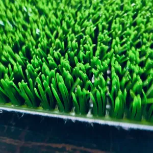 24mm Special Foe Gold Mining Concentration Dreamturf Blankets thumbnail-2