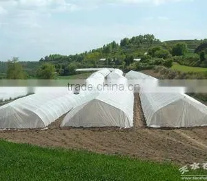 High Quality Anti-Insect Screen thumbnail-1