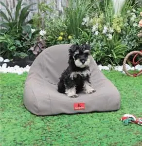 Elegant Modern Pet Sofa thumbnail-1