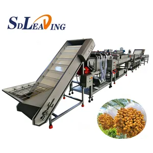 Automatic Industrial Palm Dates Processing Machine High Capacity Dates Washing Pitting Grading Drying Line for Dates Factory thumbnail-3