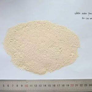 Onion Powder thumbnail-4