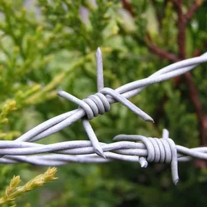Factory Direct Supply of Reverse Twist Barbed Wire Mesh for Industrial Use thumbnail-2