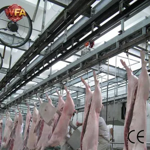 Pig Slaughtering Line Pork Slaughter Machine Swine Slaughterhouse Equipment Abattoir Processing System thumbnail-4