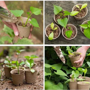 Disposable Jiffy Pot 100% Compostable 6Pack Plantable Seedling Pot thumbnail-1