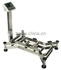 Digital Weighing Electronic "X" Type Bench Scale thumbnail-1