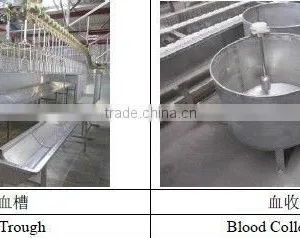 Poultry Killing and Bleeding Line thumbnail-4