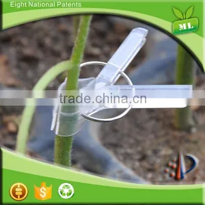 Plastic Adjustable Clips for Plant Grafting thumbnail-1