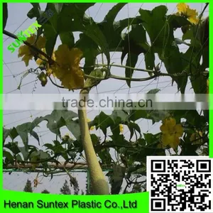 Wholesale Extruded Plastic Cucumber Climbing Net Made in China thumbnail-2