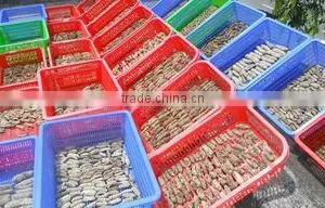 Afv Import Export Co., Ltd company overview - view 2 thumbnail
