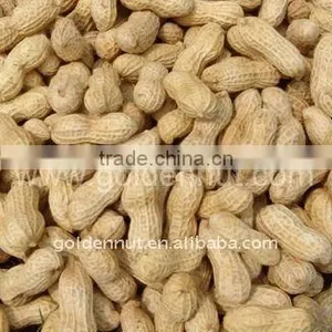 Peanut in Shell thumbnail-1
