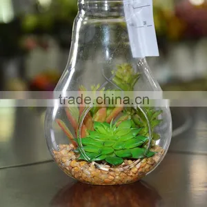 Plastic Succulent Plants Geometric Glass Terrarium Wholesale Container thumbnail-3
