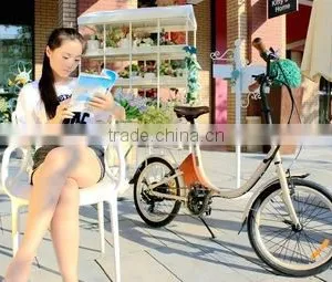 Mini, 20 Inch Wheel Folding Electric Bike for Kids Offer Different Colors thumbnail-2