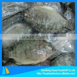 High Quality Frozen Fish Tilapia thumbnail-1