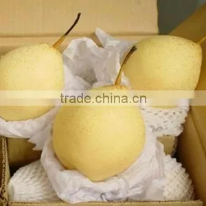 China Fresh Ya Pear thumbnail-1