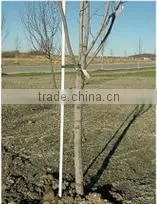 Light Weight Chemical Resistant FRP Pultruded Rod thumbnail-2