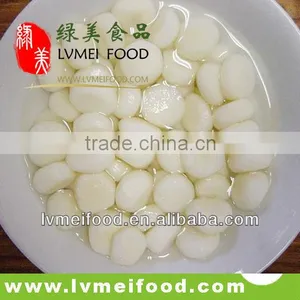 Canned Vegetable Canned Water Chestnut 567g thumbnail-1