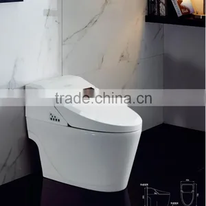 Smart Toilet TC-38802 thumbnail-1