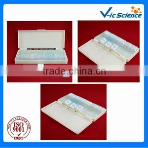 50pieces Set Mixed Basic Prepared Slides thumbnail-2