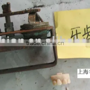Teeth Molding(roto-casting) thumbnail-1