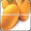Mango Pulp thumbnail-1