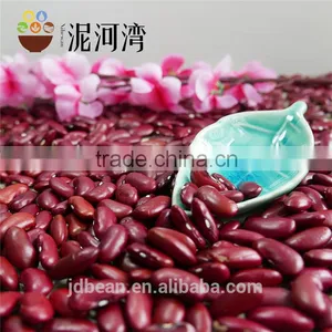 Dark Red Kidney Bean thumbnail-2