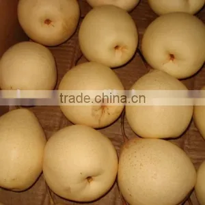 New Crop of China Fresh ya Pear for Hot Sale thumbnail-1