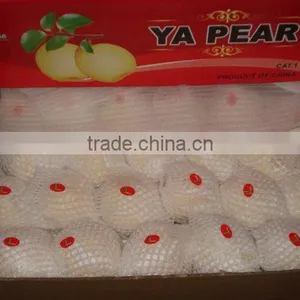 Pear thumbnail-1