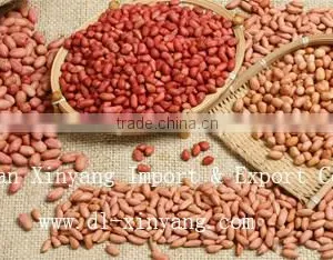 Wholesale Crispy Roasted Peanuts in Red Skin thumbnail-5