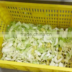 FT-1800 High Efficiency Fruit And Vegetable Vibration Dewatering Draining Machine thumbnail-6