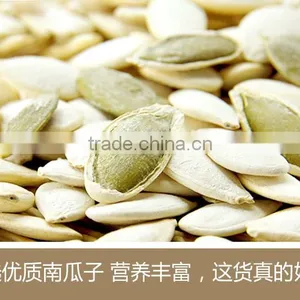 Pumpkin Seed thumbnail-1