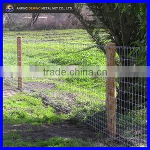 DM Hot Sale HDG High Quality Field Fence ( Anping Factory ) thumbnail-5