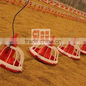 Goldenest Manufacturer Poultry Feeding Line Automatic Equipment Poultry for Sale JCZY-OP01 thumbnail-1