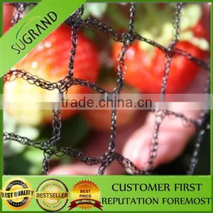 High Quality Factory Produce Anti Bird Net for Fruit Trees thumbnail-4