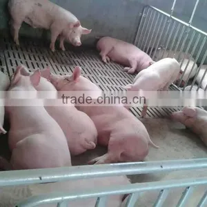 Agricultural Machines Manufactor Oem Cast Iron Pig Floor Farm Machinery Spare Part 300*600 Cast Floor Raise Pig thumbnail-3