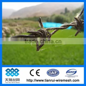 Razor Blade Barbed Wire thumbnail-1