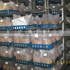 EL-156 Dried Mushroom Growing Shelves Rack thumbnail-4