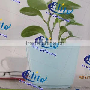 Interior Decorative Pots thumbnail-2