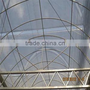 Modern Design Low Cost / Cheap Glass Green Houses for Agriculture thumbnail-6