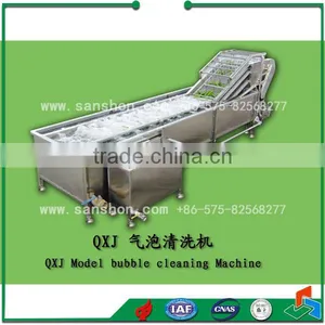 Strawberry Processing Pretreatment System thumbnail-2