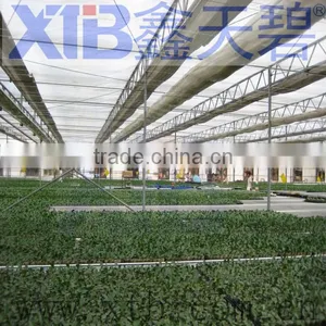 Venlo Greenhouse Galvanized Steel Frame Greenhouse thumbnail-1