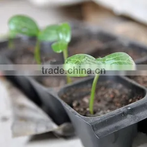 China Manufacture Excellent Quality Best Price Cell Seed Tray thumbnail-5