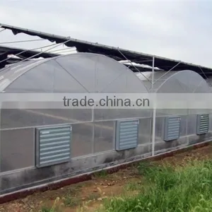 Muiti Span Tunnel PC Sheet Greenhouse for Vegetable and Fruit thumbnail-2